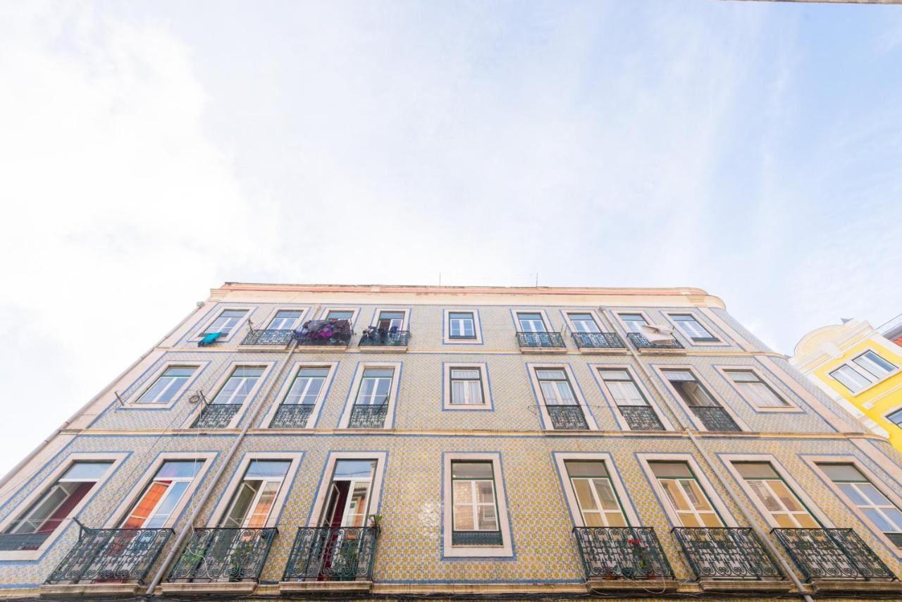 Typical Almirante By Homing *